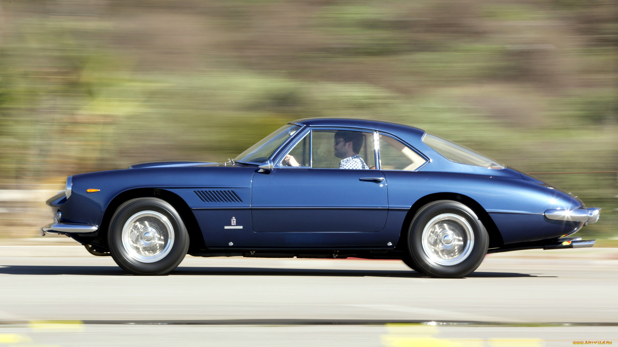 ferrari, 365, , , , , s, p, a